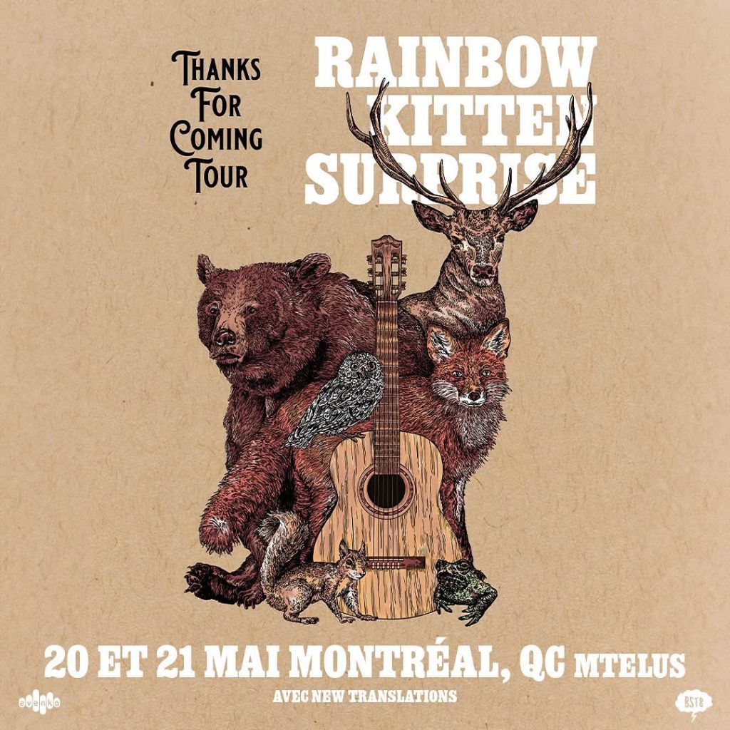 RAINBOW KITTEN SURPRISE