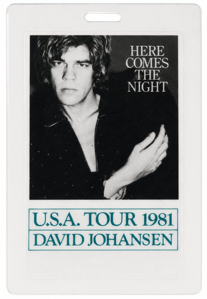 DAVID JOHANSEN