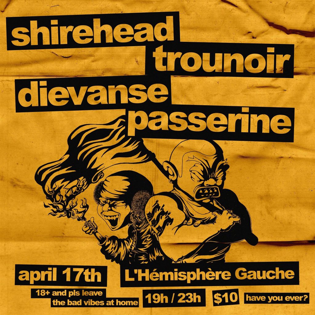 SHIREHEAD TROU NOIR DIEVANSE PASSERINE