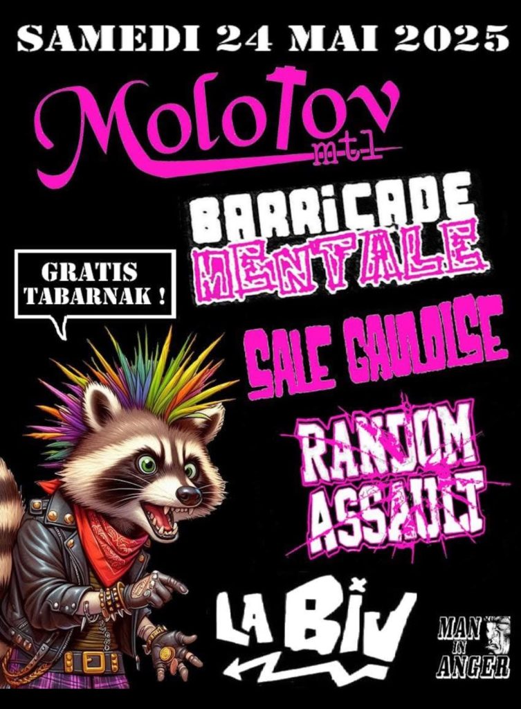 MOLOTOV BARRICADE MENTALE SALE GAULOISE RANDOM ASSAULT