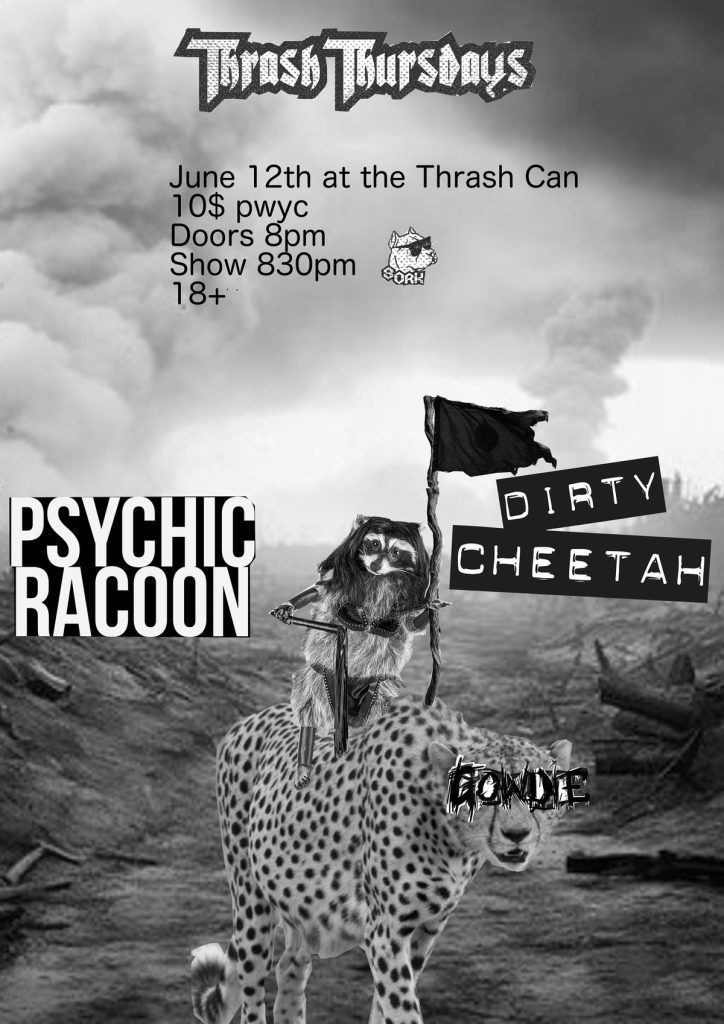 PSYCHIC RACOON DIRTY CHEETAH