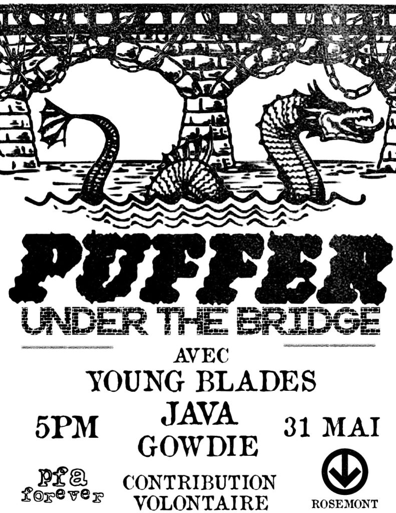PUFFER YOUNG BLADES JAVA GOWDIE
