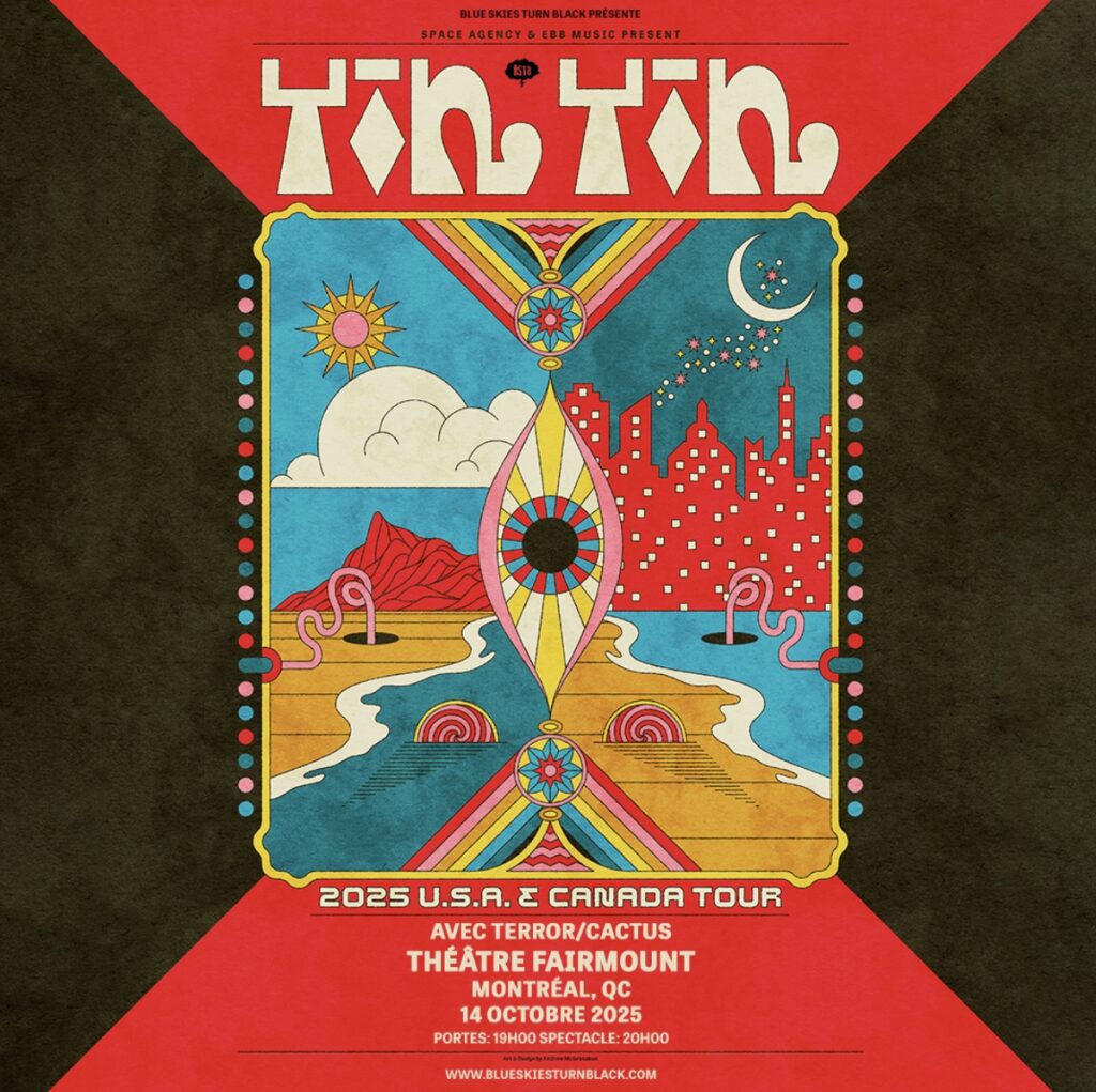 YIN YIN TERROR CACTUS