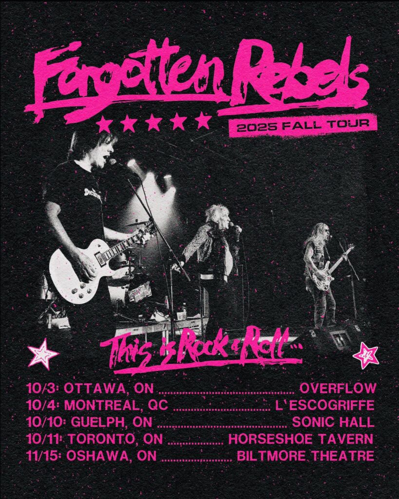 FORGOTTEN REBELS THE NILS YOUNG BLADES