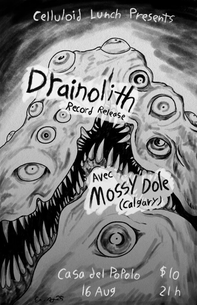 DRAINOLITH MOSSY DOLE
