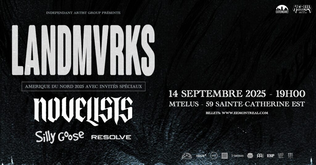 LANDMVRKS NOVELISTS SILLY GOOSE RESOLVE