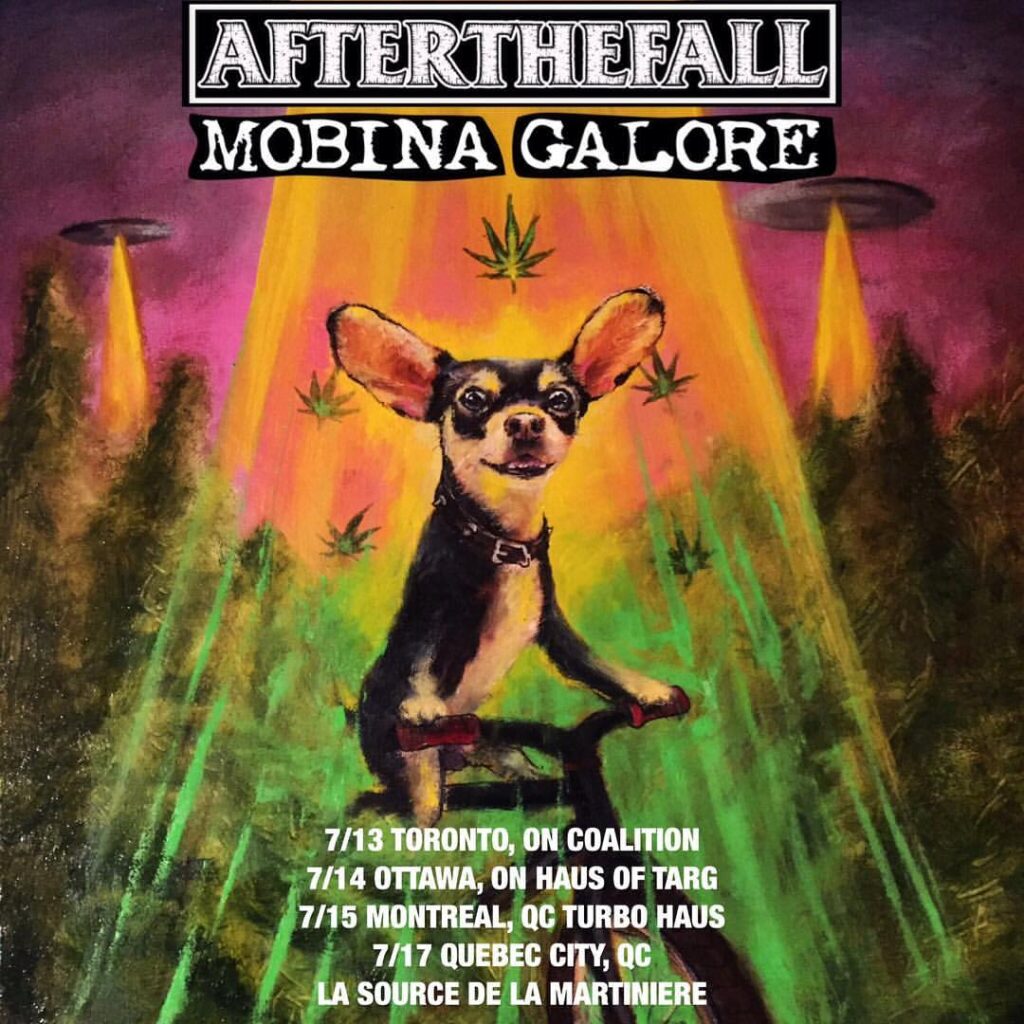 AFTER THE FALL MOBINA GALORE