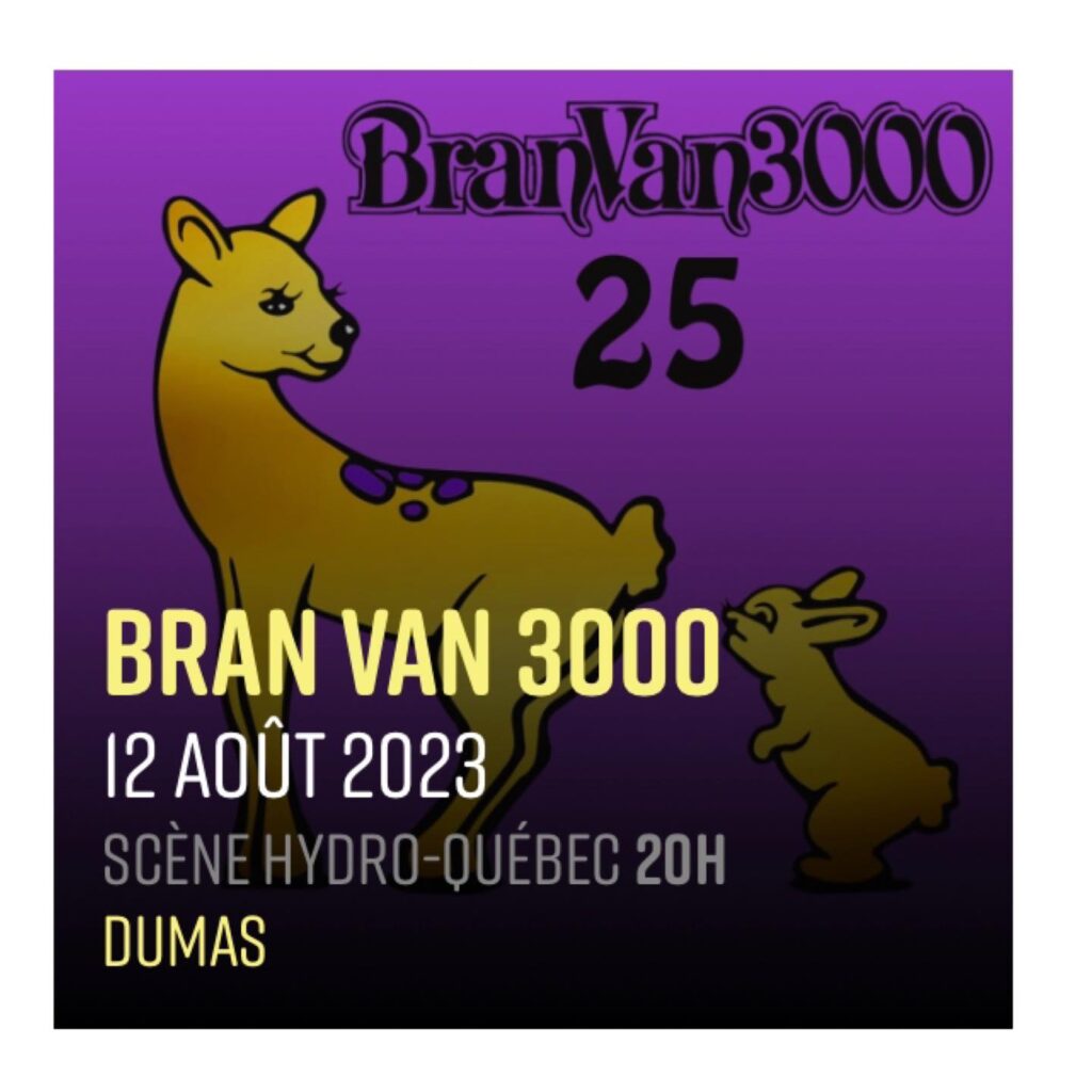 BRAN VAN 3000 DUMAS