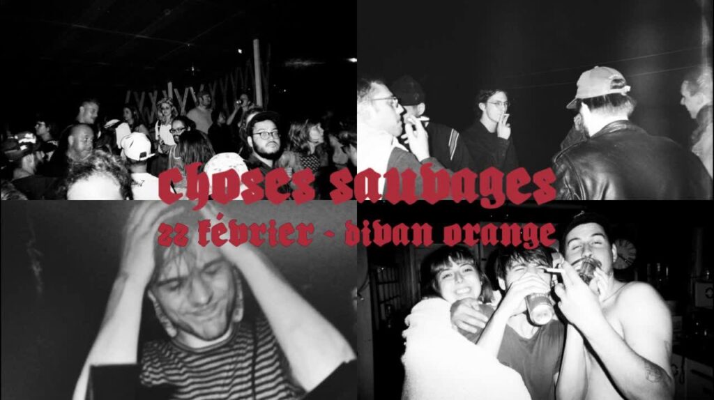 CHOSES SAUVAGES