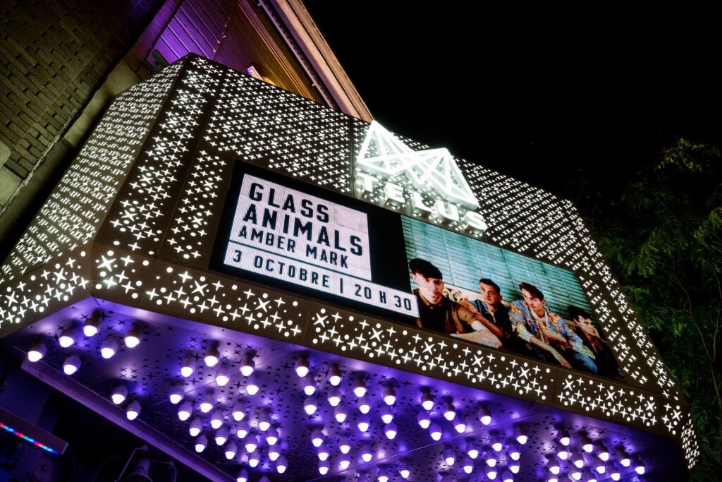 GLASS ANIMALS AMBER MARK