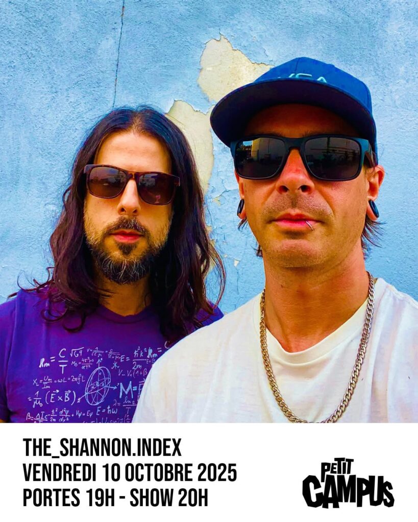 THE SHANNON INDEX