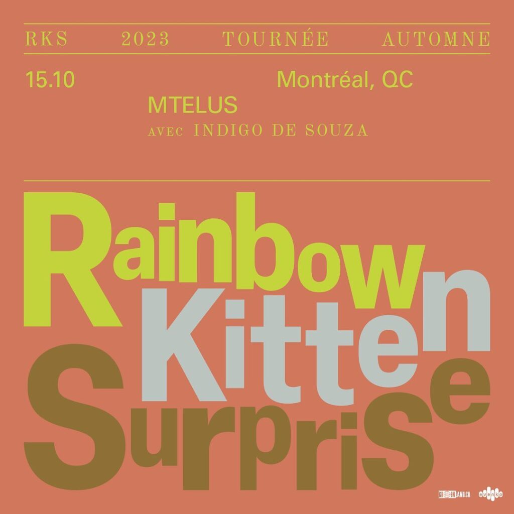 RAINBOW KITTEN SURPRISE