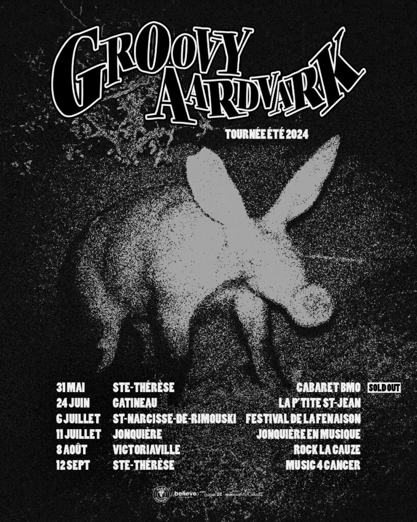 GROOVY AARDVARK