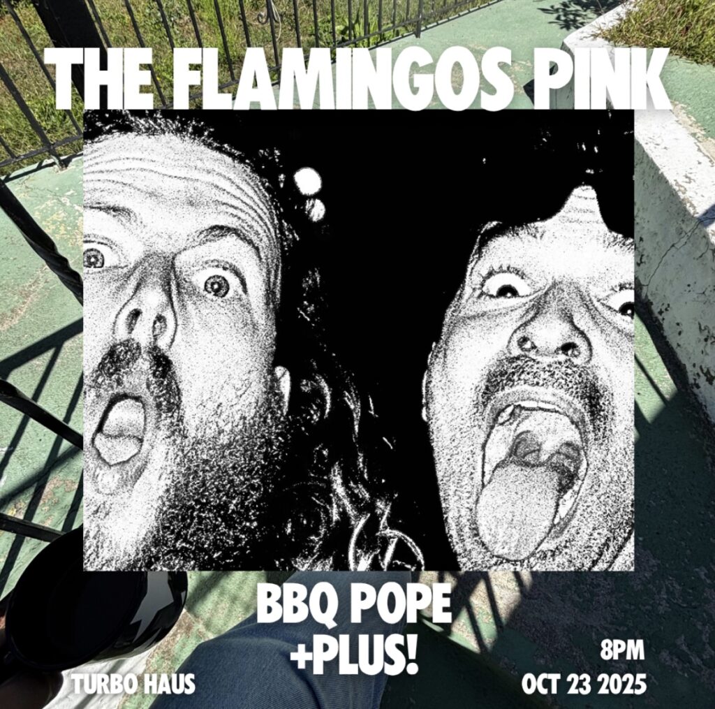 THE FLAMINGOS PINK