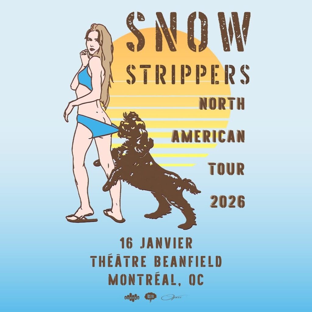 SNOW STRIPPERS