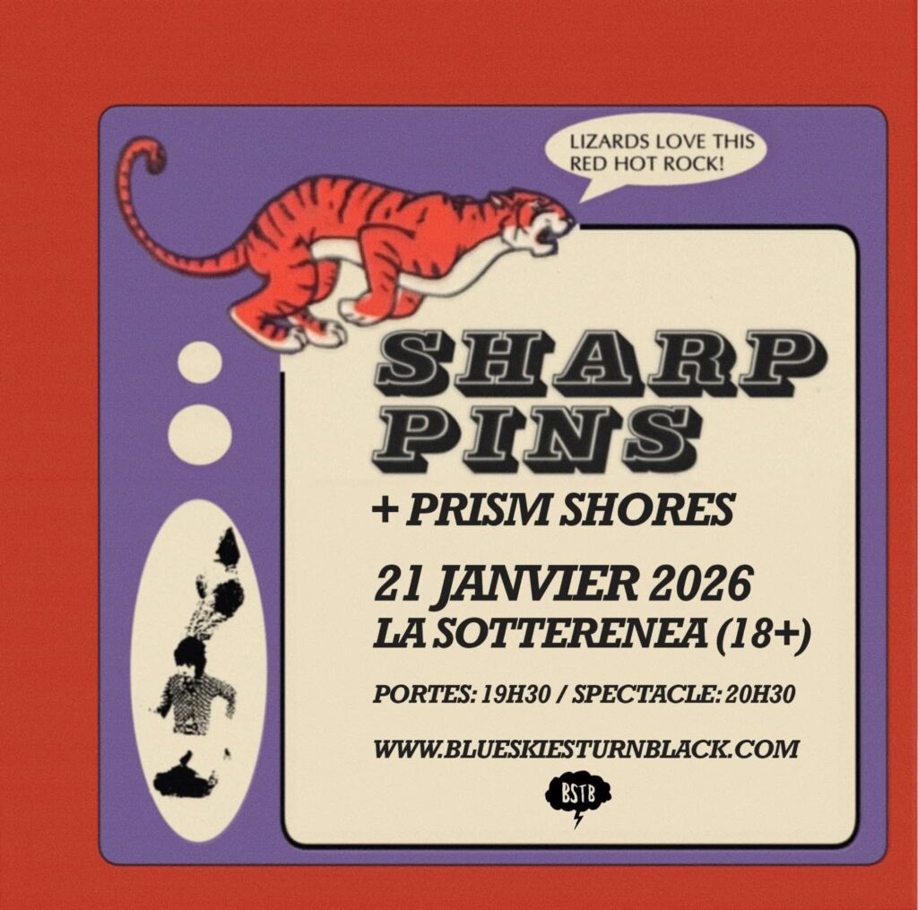 SHARP PINS PRISM SHORES