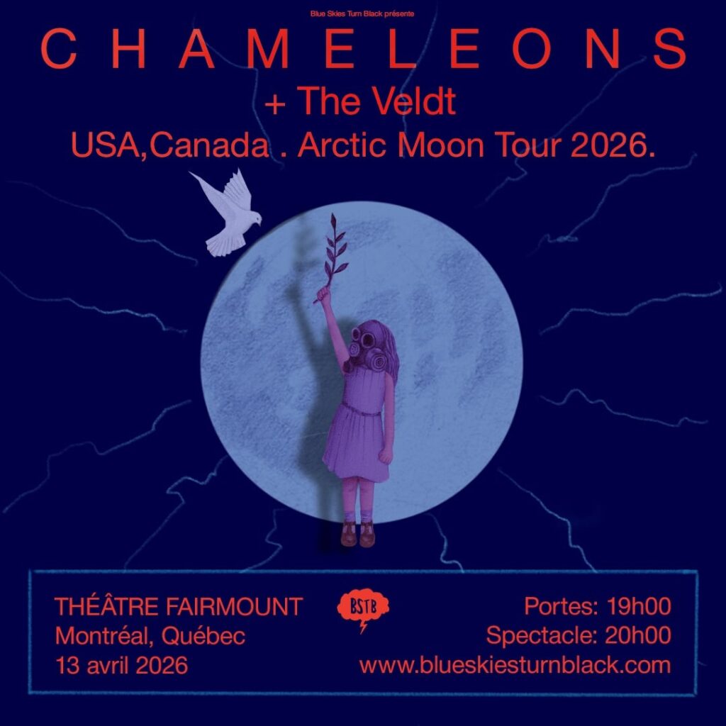 CHAMELEONS THE VELDT