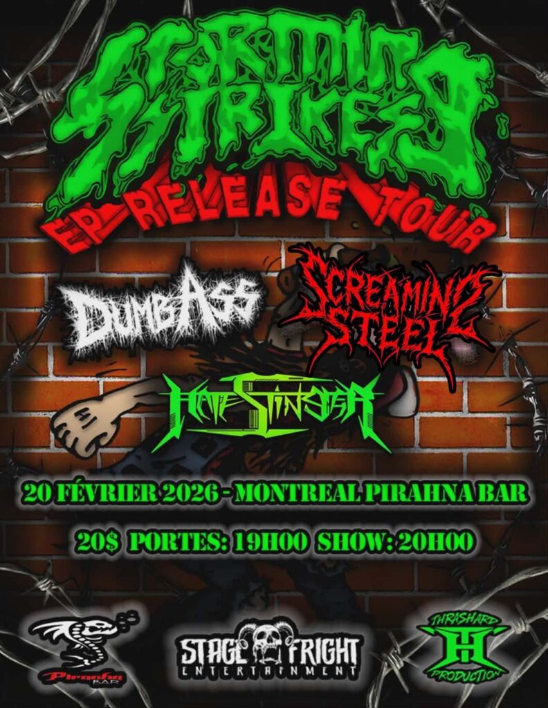 STORMING STRIKES DUMBASS SCREAMING STEEL HATESTINGER