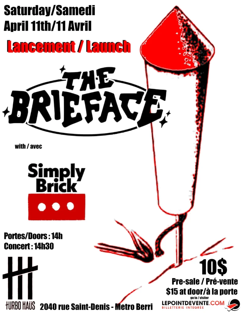 THE BRIEFACE SIMPLY BRICK