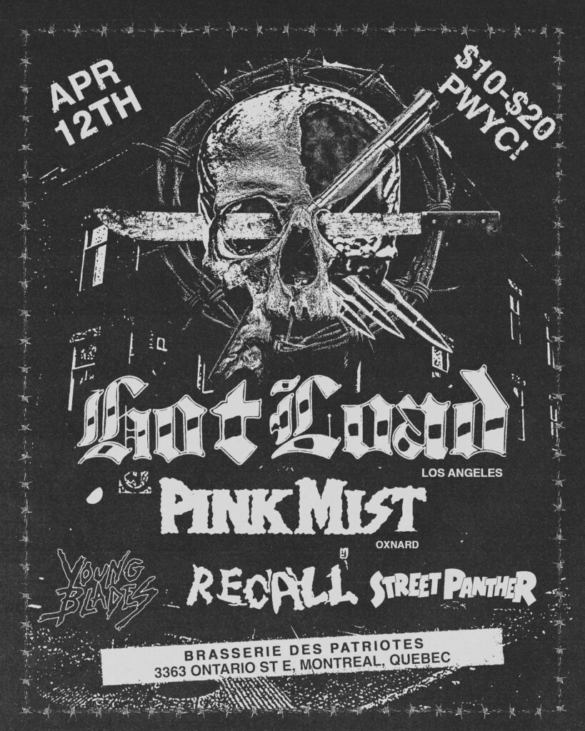 HOT LOAD PINK MIST RECALL YOUNG BLADES STREET PANTHER