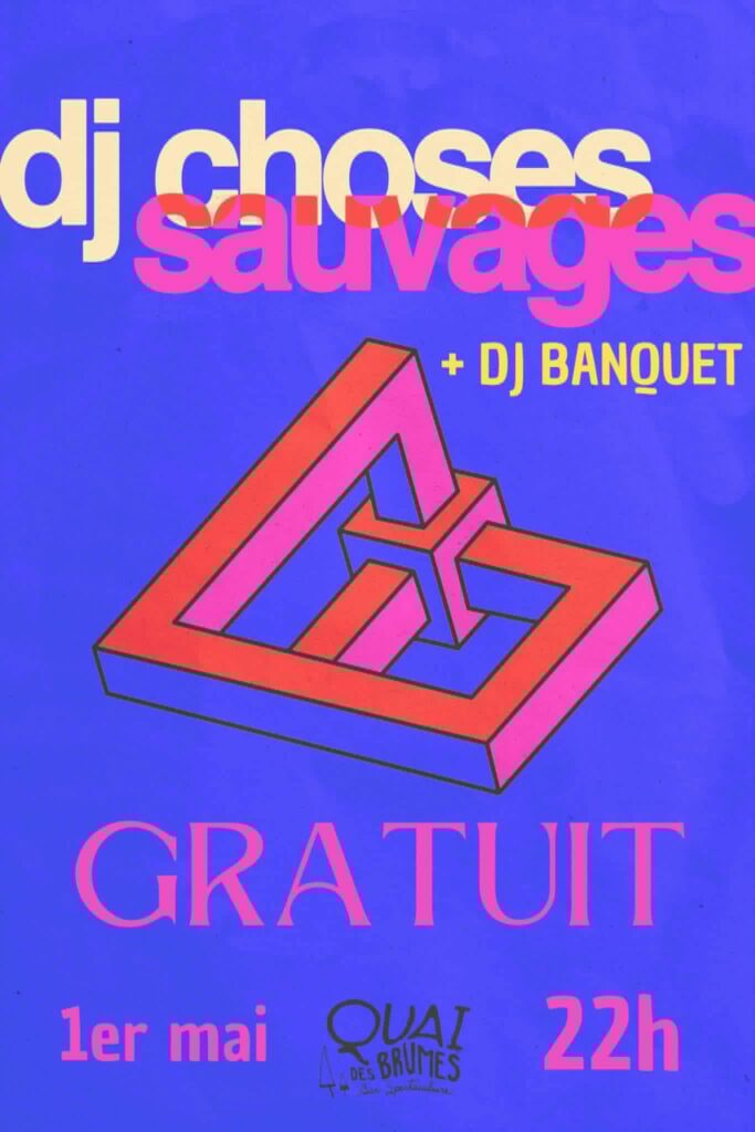DJ CHOSES SAUVAGES