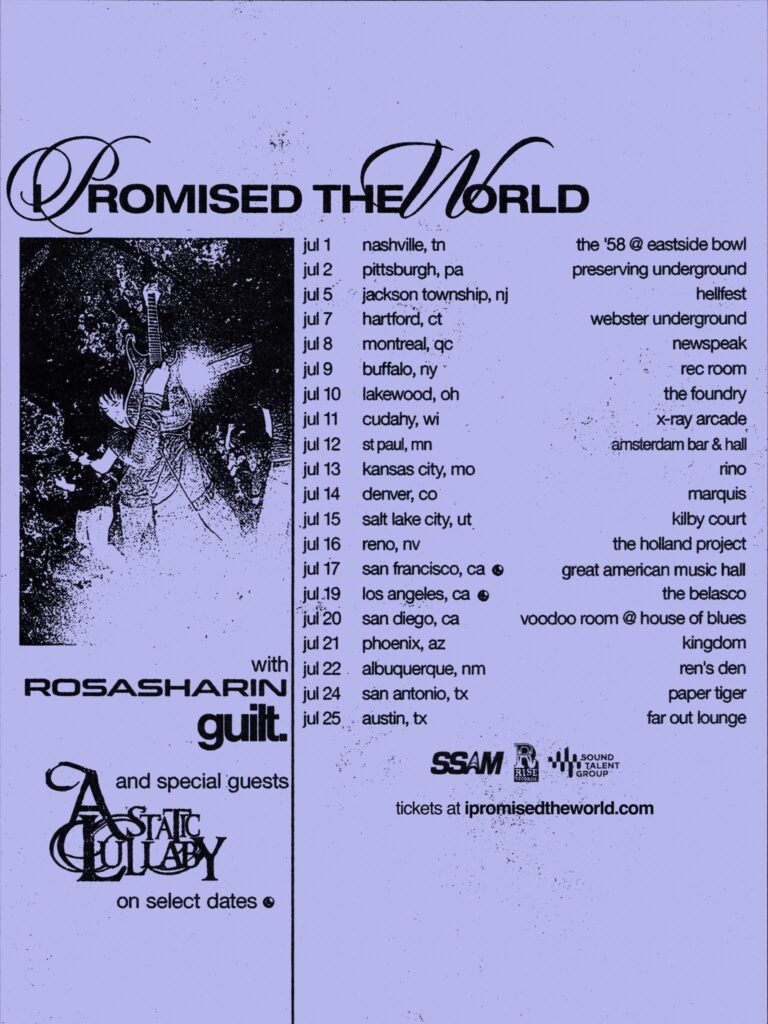 PROMISED THE WORLD ROSASHARIN GUILT