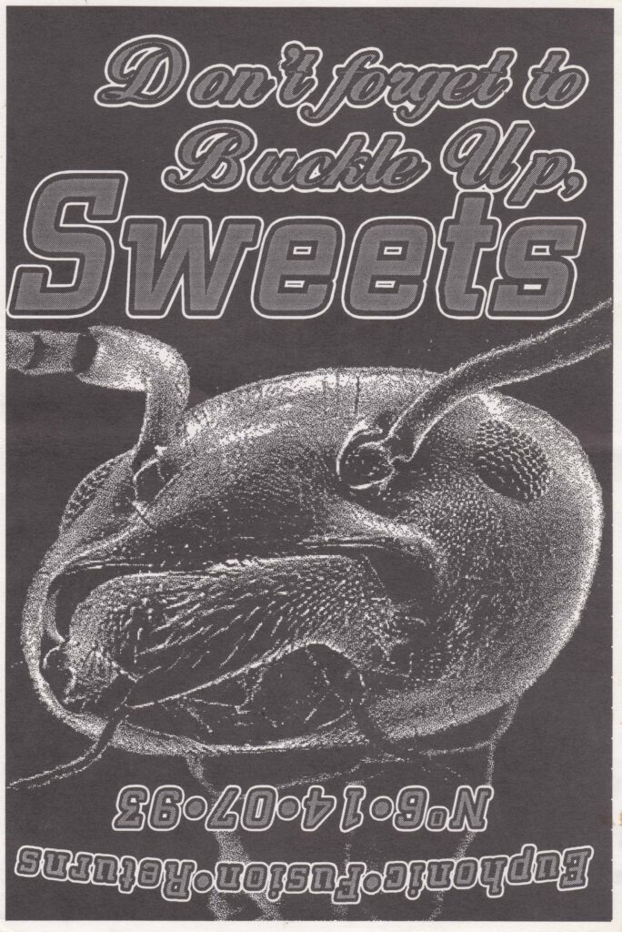 DON&rsquo;T FORGET TO BUCKLE UP SWEETS