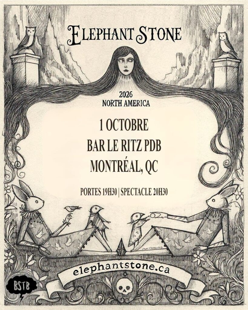 ELEPHANT STONE
