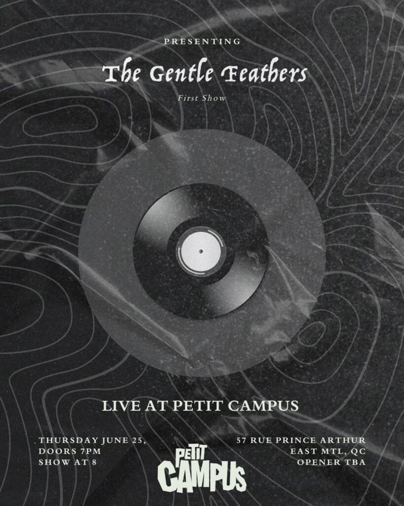 THE GENTLE FEATHERS