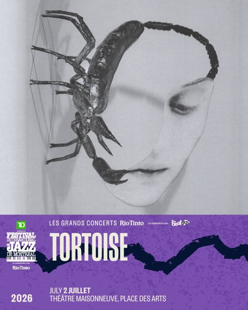 TORTOISE