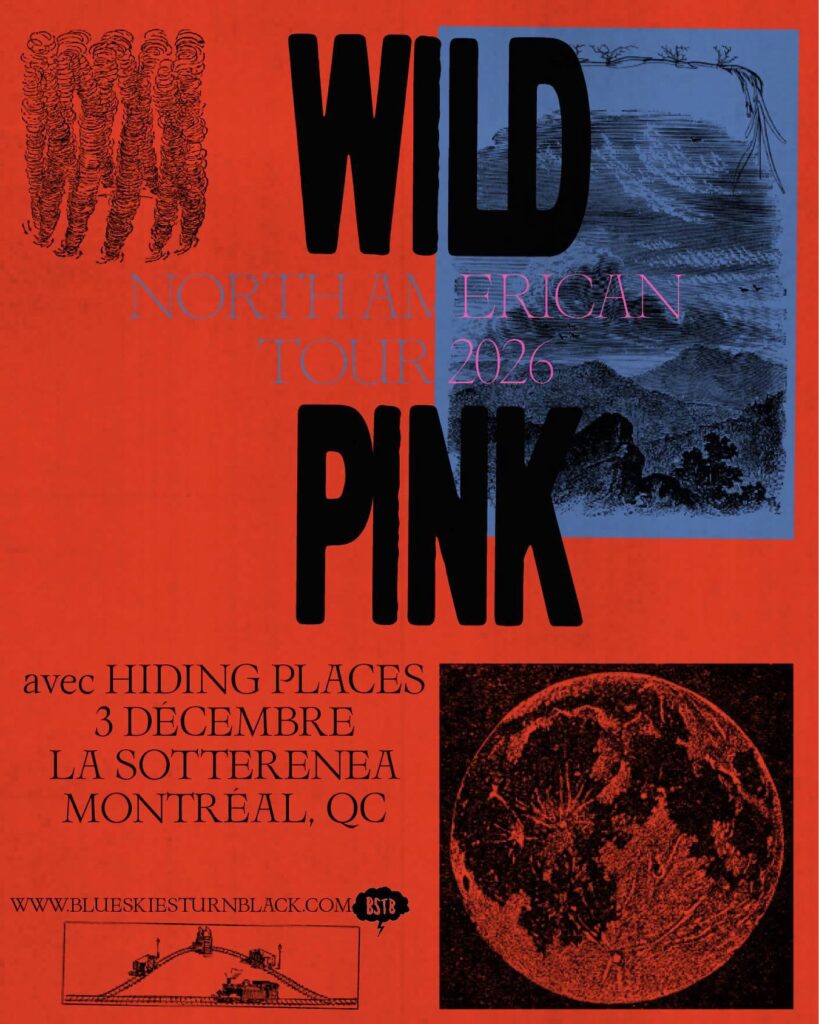 WILD PINK HIDING PLACES
