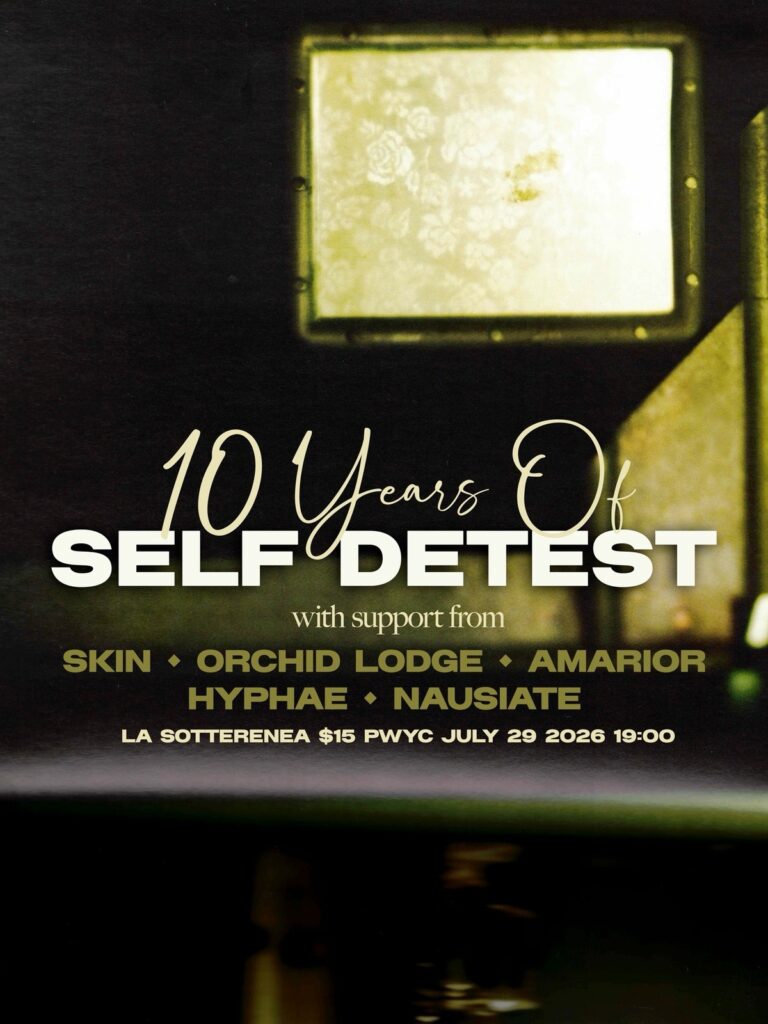 10 YEARS OF SELF DETEST SKIN ORCHID LODGE AMARIOR HYPHAE NAUSIATE