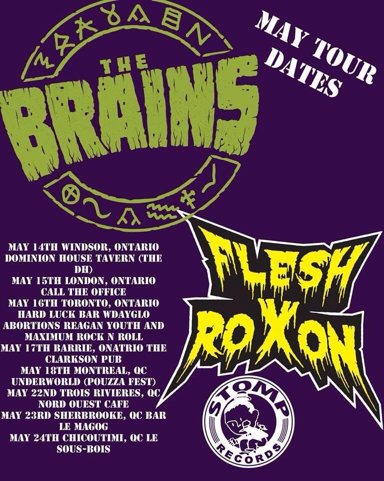 THE BRAINS FLESH ROXON