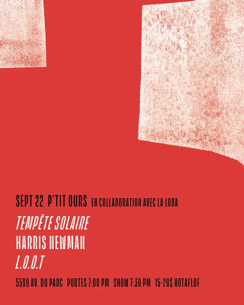 TEMPÊTE SOLAIRE HARRIS NEWMAN LOOT